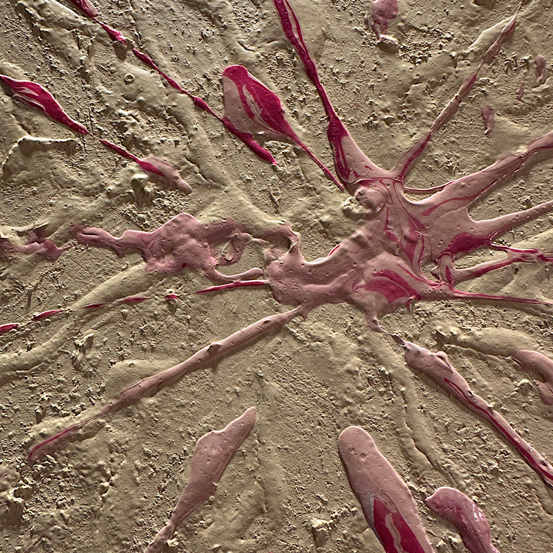 Pink Splash, Acrylic on MDF, 2024 (20x16")