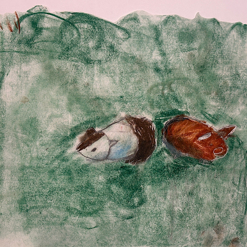 Guinea Pigs - Original