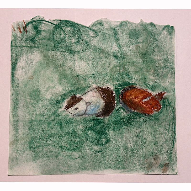 Guinea Pigs - Original