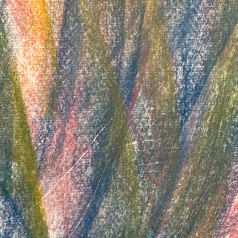 Radiant Heart, Crayon on Paper, 2024 (17x14")