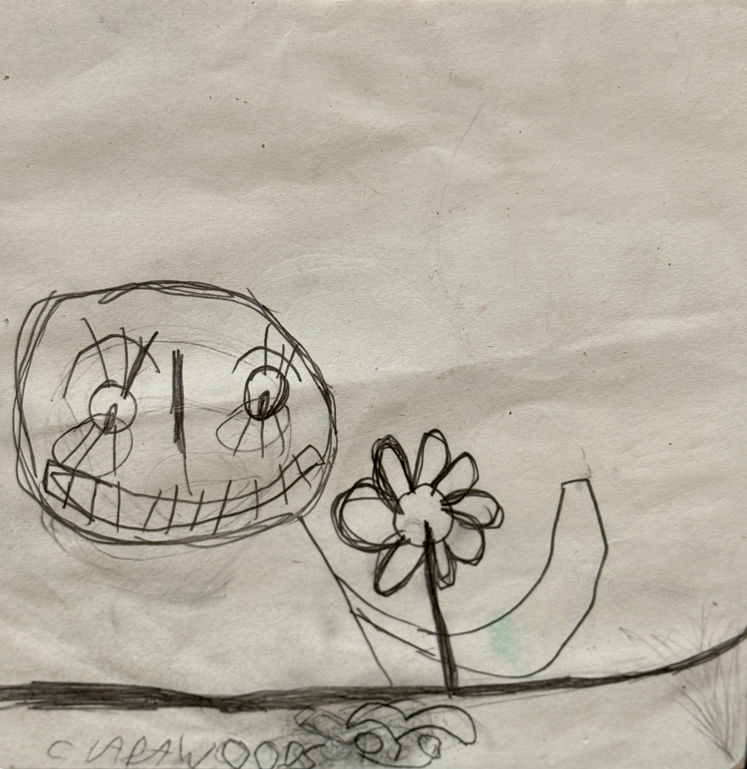 Smile, Sketch