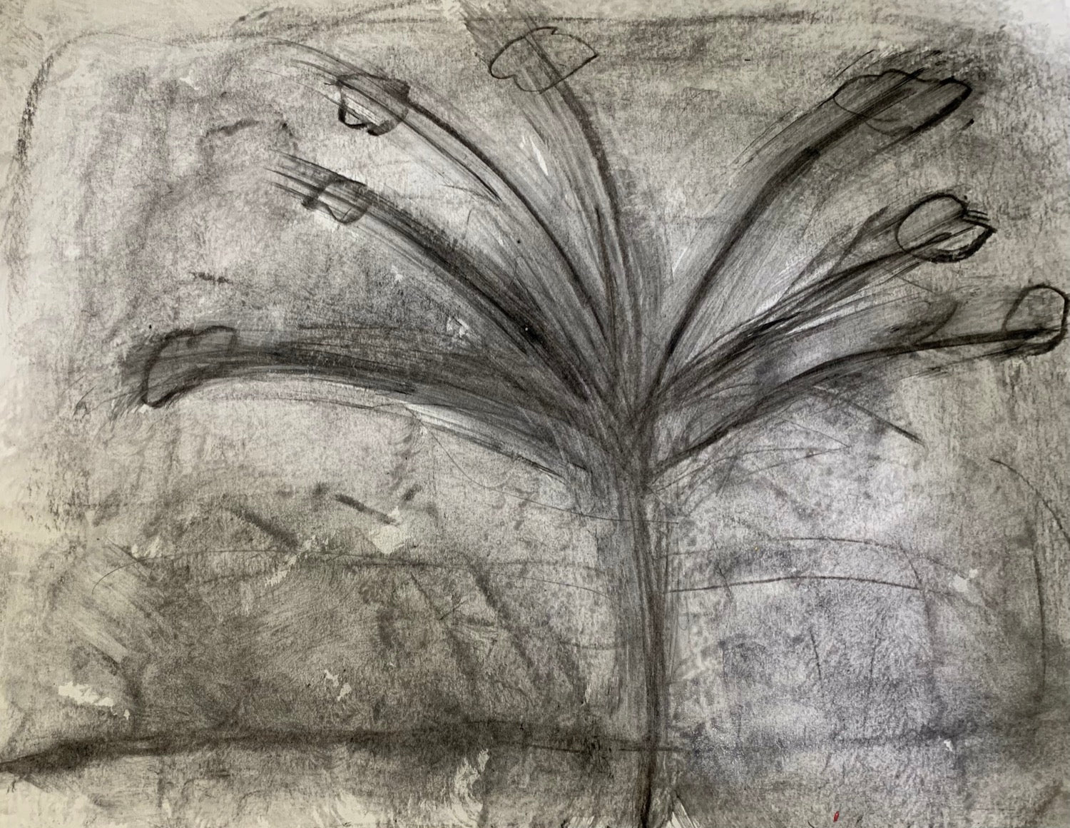Hibiscus, Original drawing, 2021 (11"x14")
